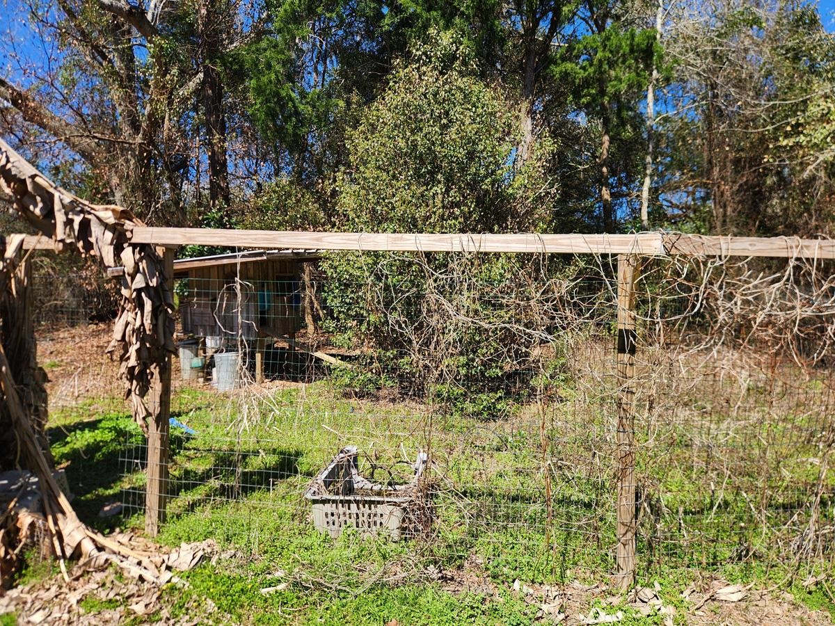 15461 Highway 98 Foley, AL 36535 - Photo 23 of 28 Yard