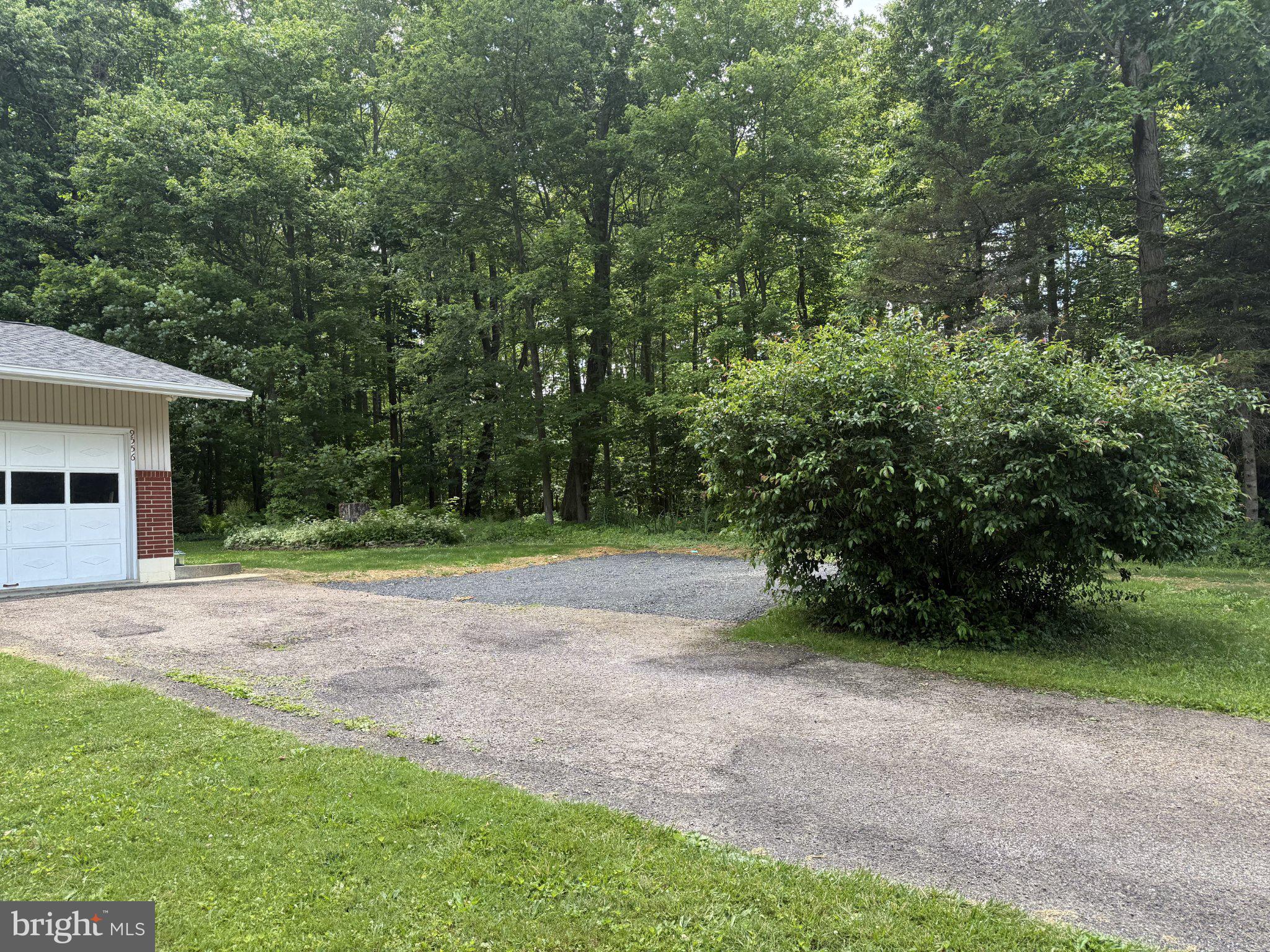 9556 New Germany Road Grantsville, MD 21536 - Photo 2 of 4 Serene driveway nestled in nature.