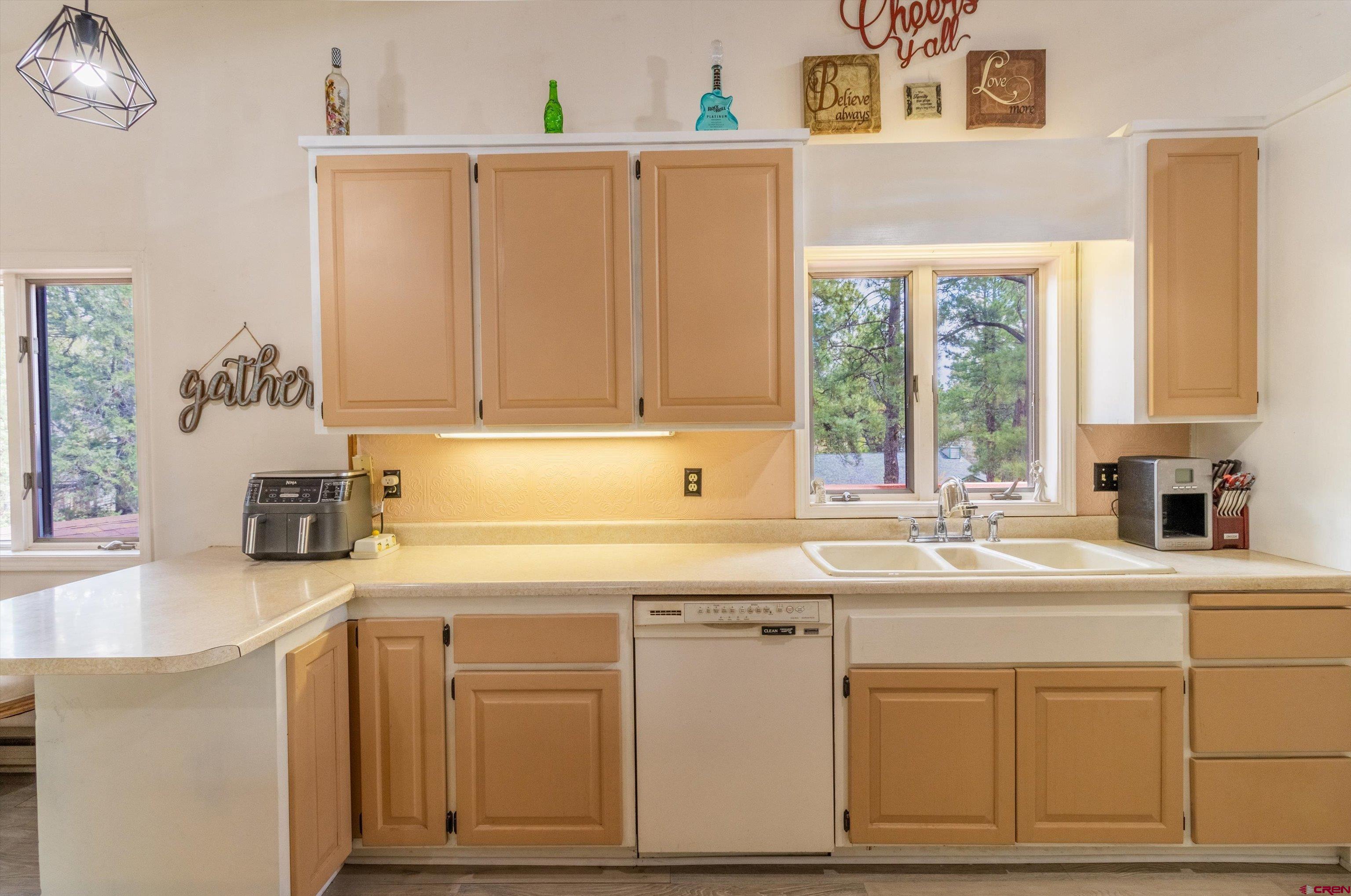 67 Pine Ridge Loop Durango, CO 81301 - Photo 9 of 35 a kitchen with cabinets appliances a sink and a window