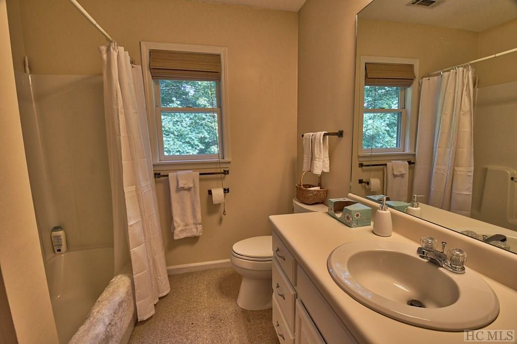 8382 Dillard Road Scaly Mountain, NC 28775 - Photo 19 of 28 Gallery Image 19