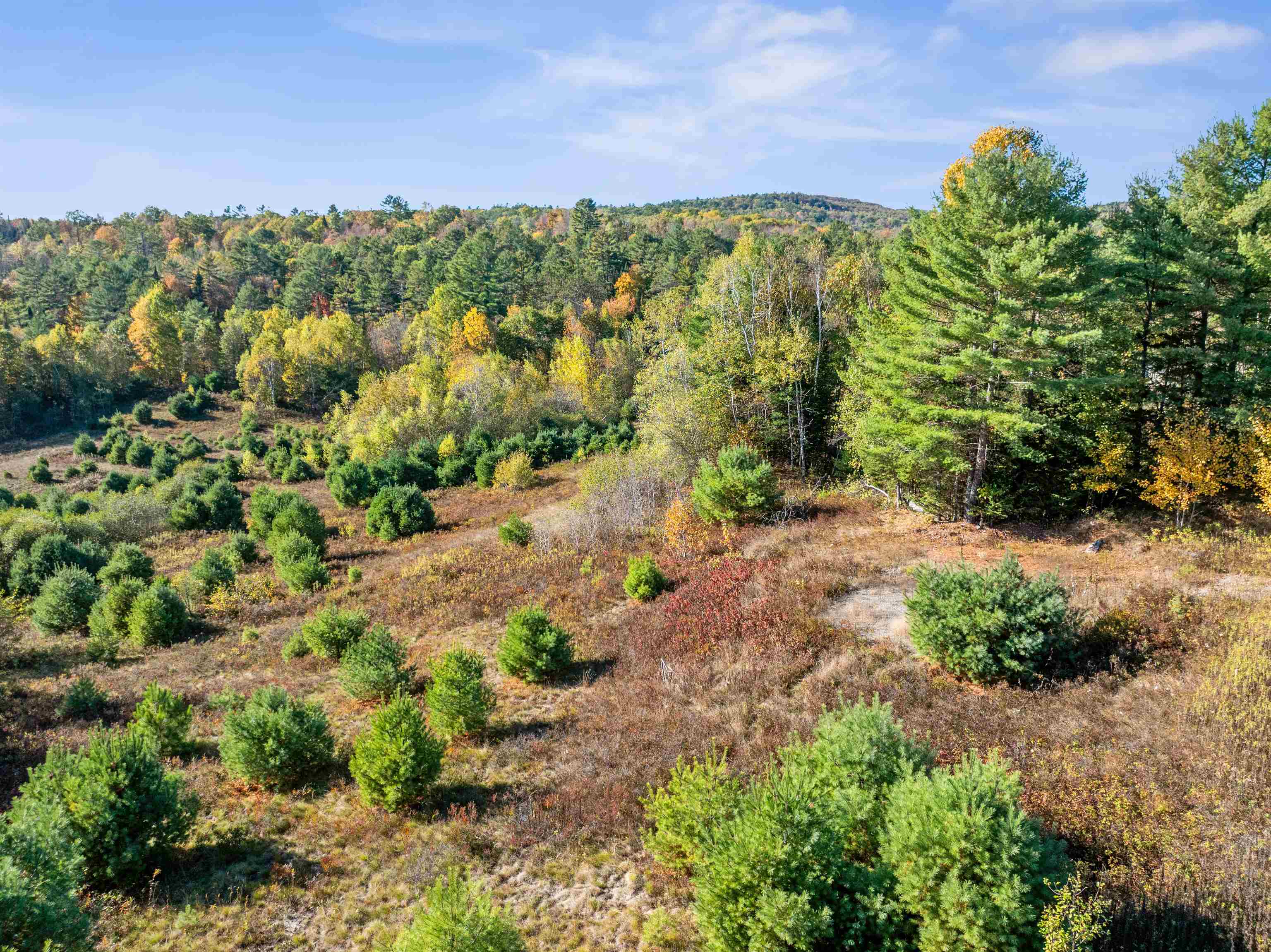 113 Buck Ridge Road Lisbon, NH 03585 - Photo 29 of 32