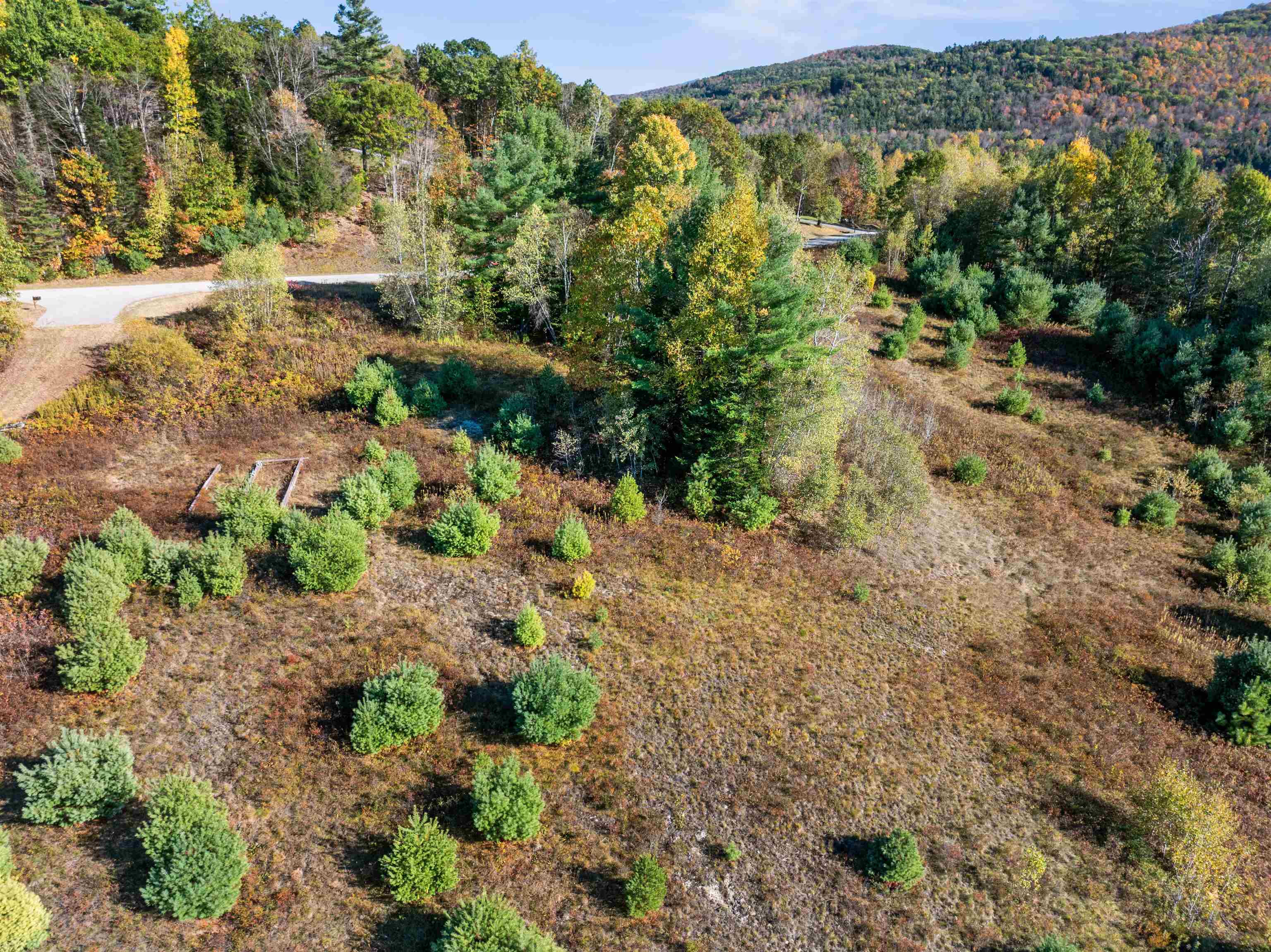 113 Buck Ridge Road Lisbon, NH 03585 - Photo 5 of 32