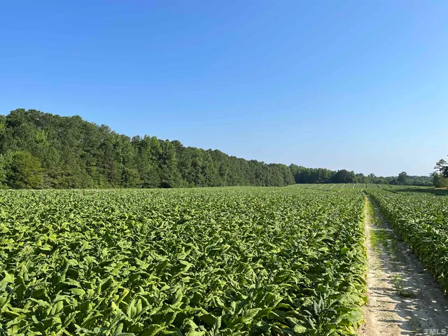 a view of a lake with a mountain in the background