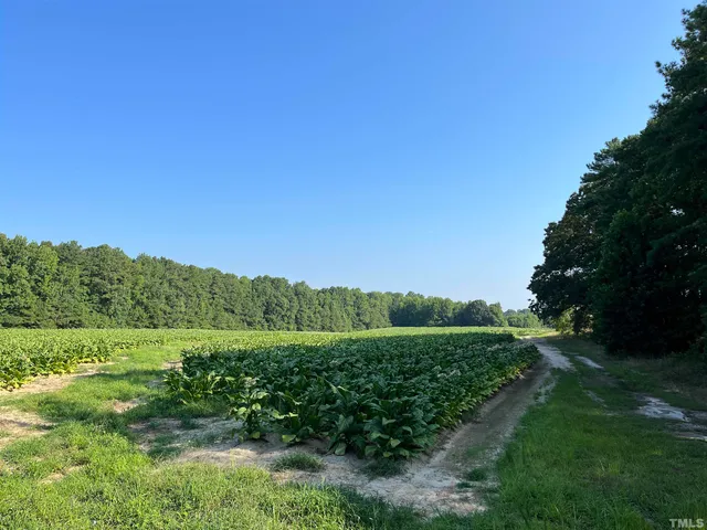 a view of a grassy field with trees