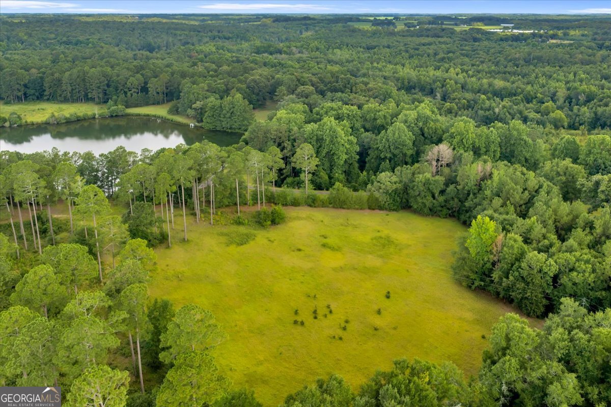 1060 Cooks Mill Road Oglethorpe, GA 31068 - Photo 77 of 104