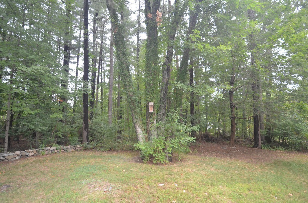 37 Ledgetree Road Medfield, MA 02052 - Photo 5 of 16 Gallery Image 5