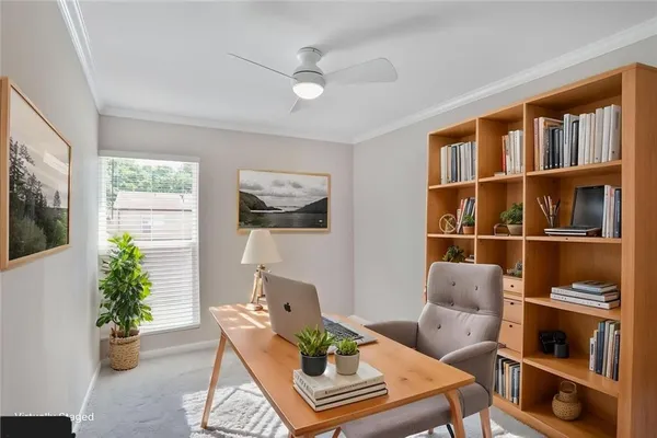 a living room with furniture and a potted plant