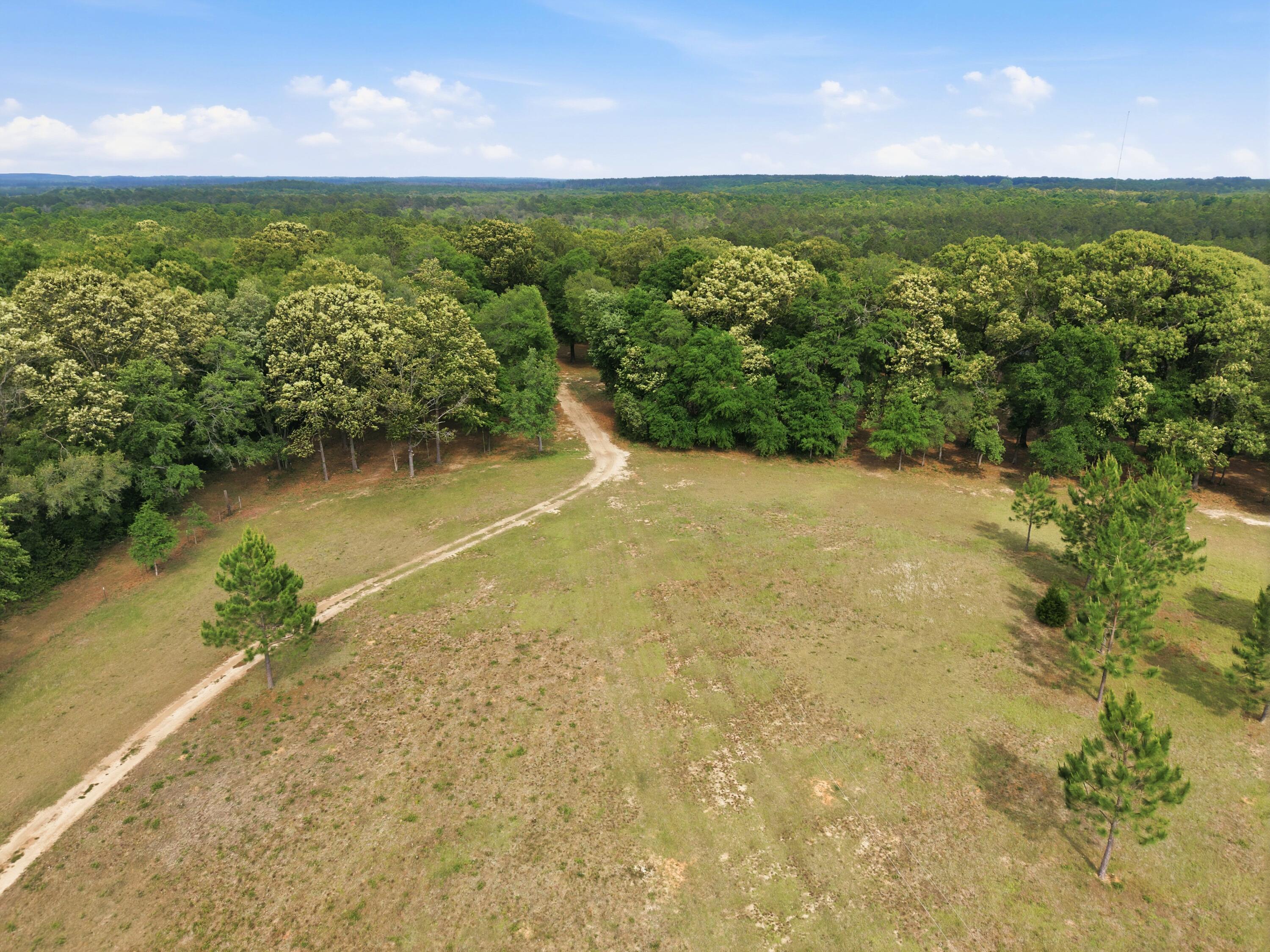 261 Wilkerson Road DeFuniak Springs, FL 32433 - Photo 22 of 76 DJI_20260429155044_0074_D