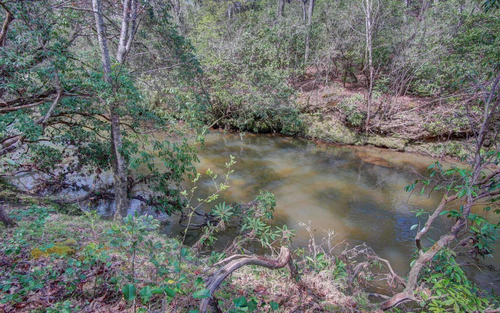 2.23 Ridge Creek Road Blairsville, GA 30512 - Photo 1 of 1 Main View