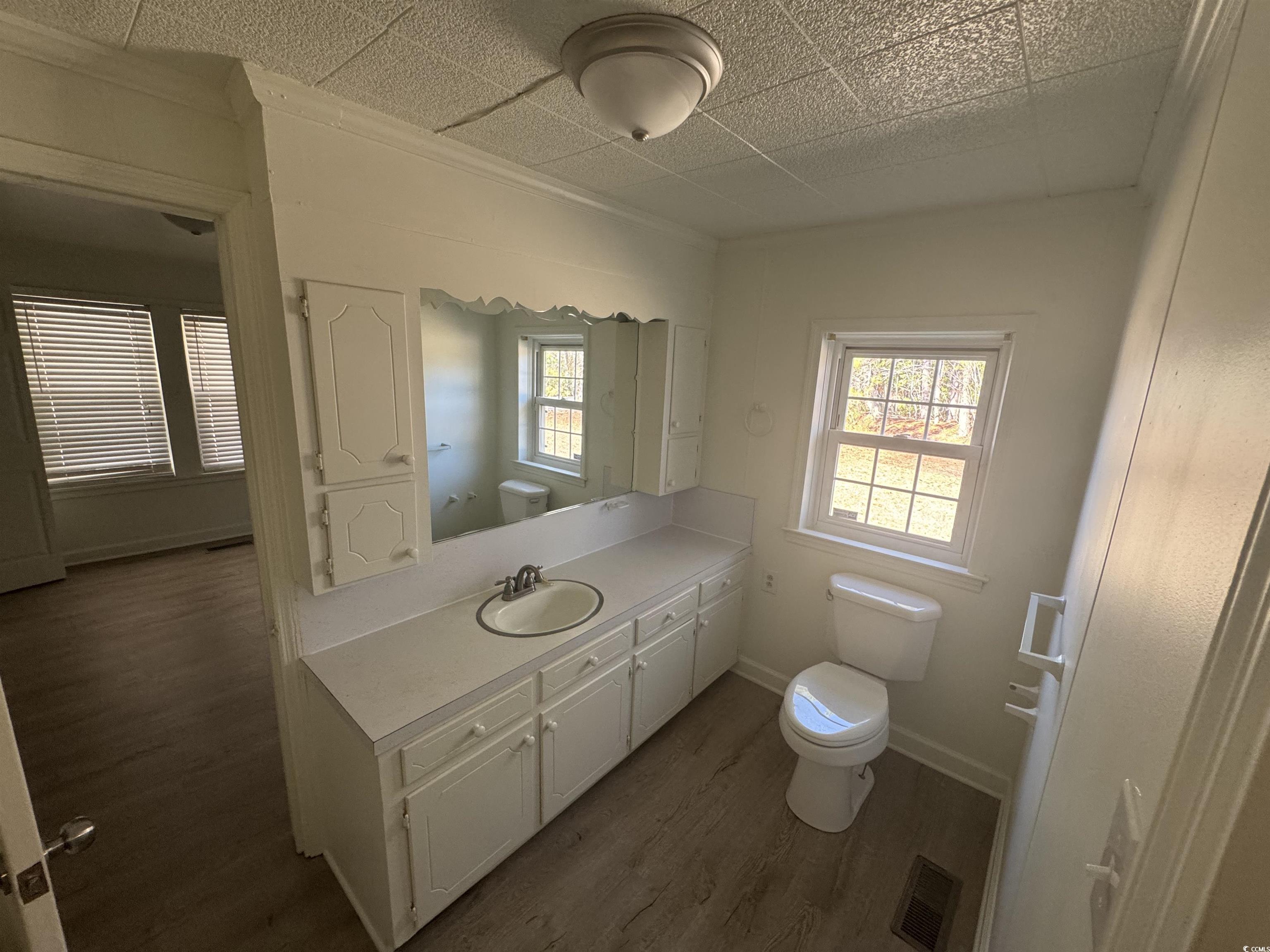 5724 Norton Road Green Sea, SC 29545 - Photo 14 of 20 Bathroom featuring dark wood-style flooring, vanity, and plenty of natural light