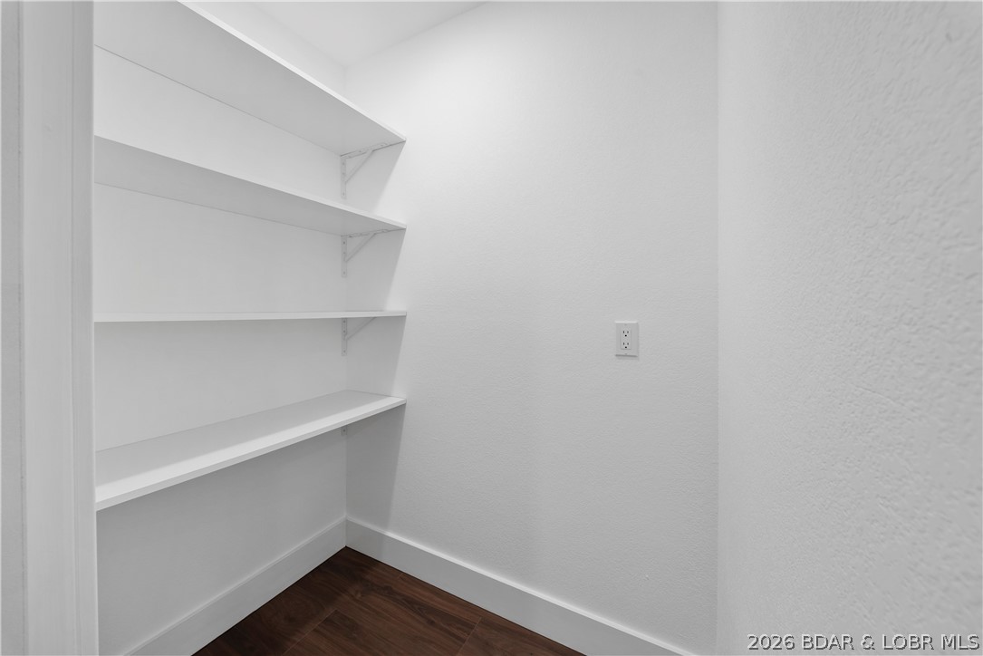 1729 Chimney Point Sunrise Beach, MO 65079 - Photo 18 of 78 Walk-In Pantry