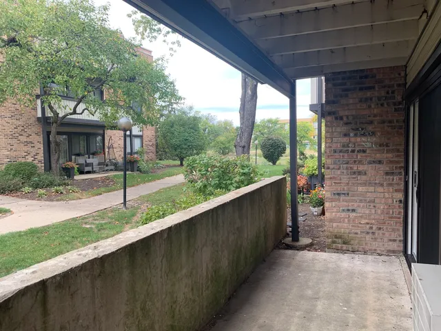 a view of a garden with plants and large trees