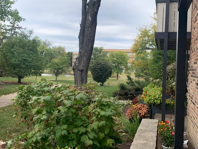 a view of a lake from a yard