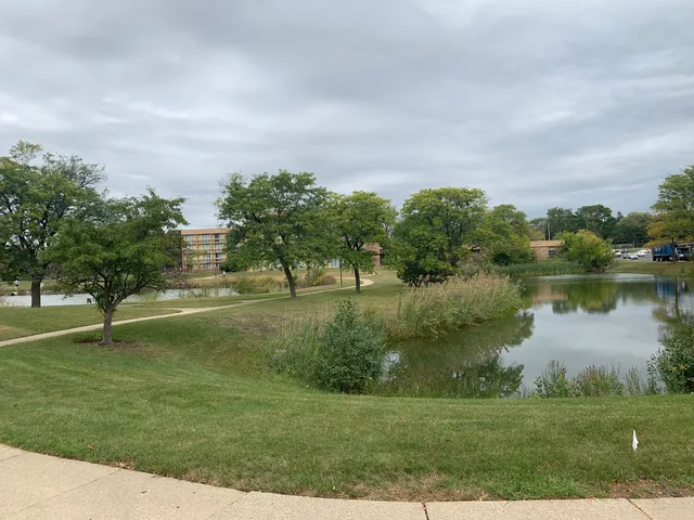 a view of a field with trees