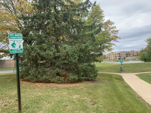 a view of a field of grass and trees