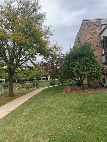 a view of a park with large trees
