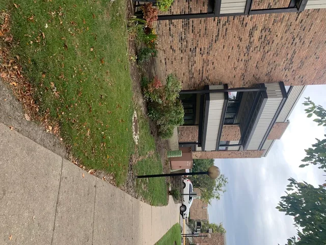 a view of a yard with an tree