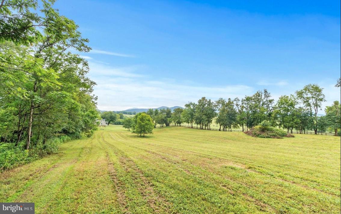 9520 Maidstone Road Delaplane, VA 20144 - Photo 2 of 3 a view of an ocean yard and a large tree