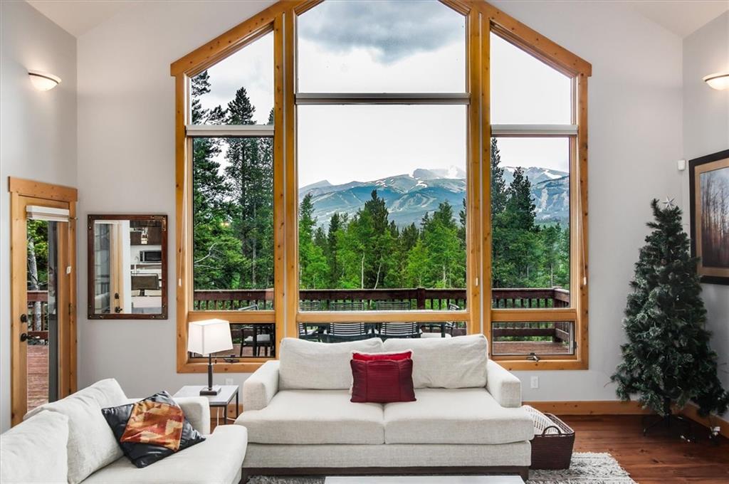 15 Rounds Road Breckenridge, CO 80424 - Photo 2 of 34 a living room with couch and a window
