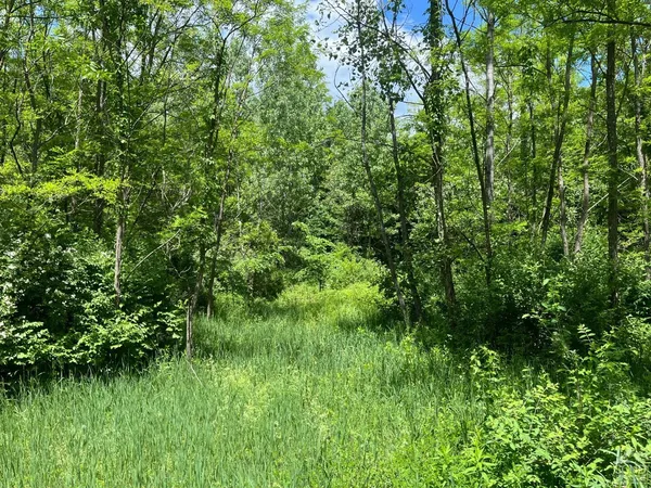 a view of a lush green space