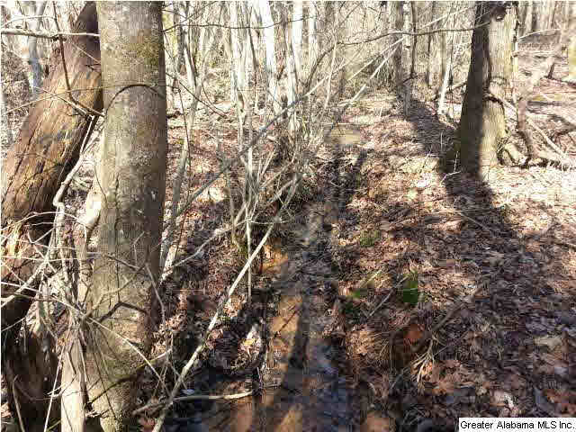 267 County Road, Unit 53 Lanett, AL 36863 - Photo 9 of 9