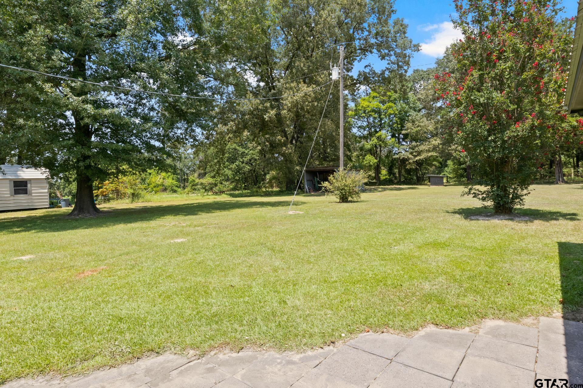 259 County Road 2407 Pittsburg, TX 75686 - Photo 37 of 42 a view of yard with swimming pool and green space