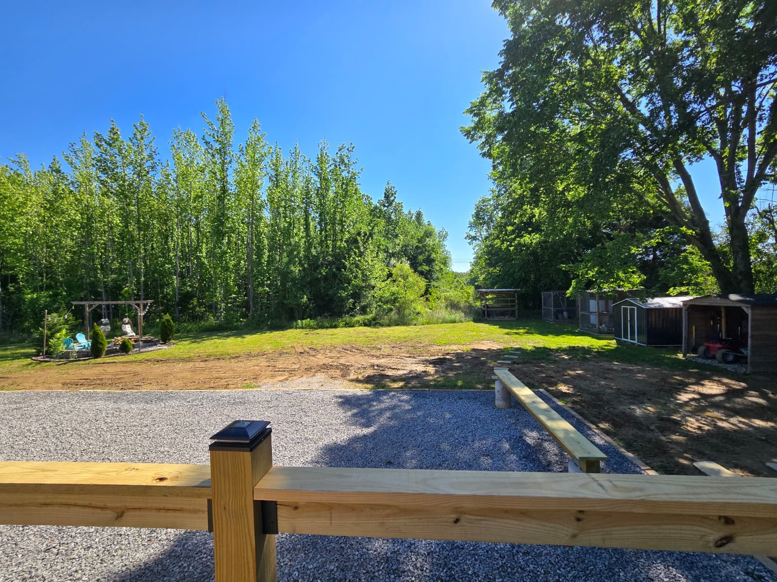 352 Scott Road Sharon Grove, KY 42280 - Photo 26 of 39 a view of a yard with large tree