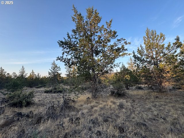 Canvasback Drive, Unit 6 Bonanza, OR 97623 - Photo 11 of 15
