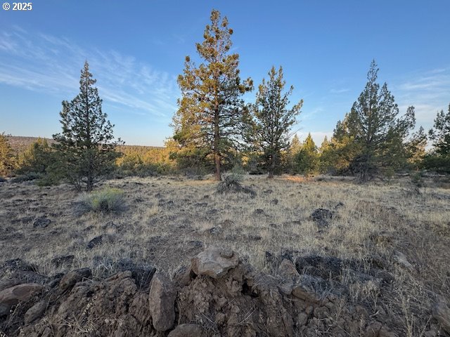 Canvasback Drive, Unit 6 Bonanza, OR 97623 - Photo 2 of 15