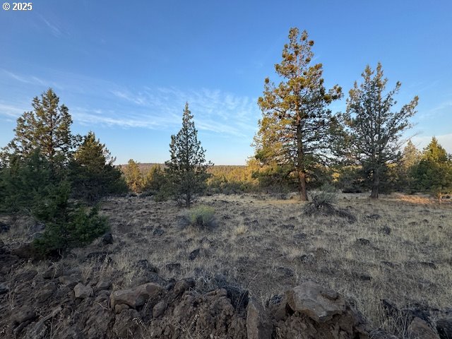 Canvasback Drive, Unit 6 Bonanza, OR 97623 - Photo 3 of 15