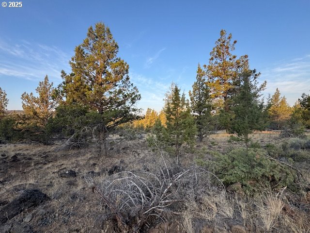 Canvasback Drive, Unit 6 Bonanza, OR 97623 - Photo 5 of 15