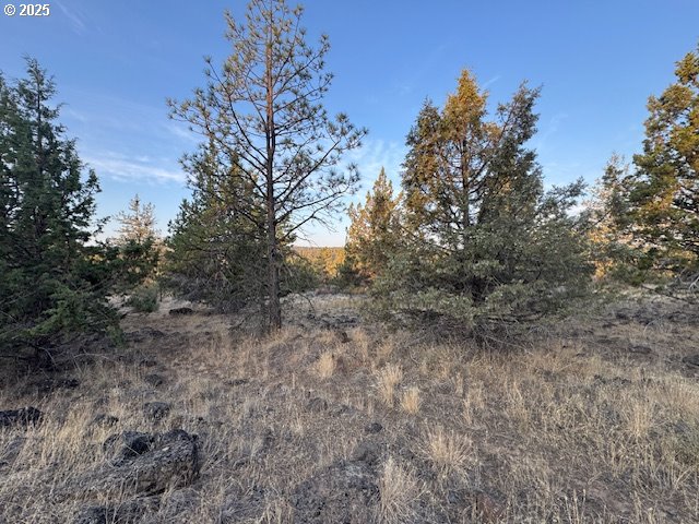 Canvasback Drive, Unit 6 Bonanza, OR 97623 - Photo 6 of 15