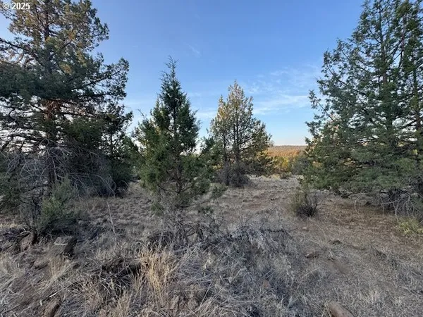 $15,000 | Canvasback Drive, Unit 6, Bonanza, OR 97623