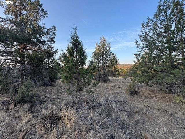 Canvasback Drive, Unit 6 Bonanza, OR 97623 - Photo 8 of 15