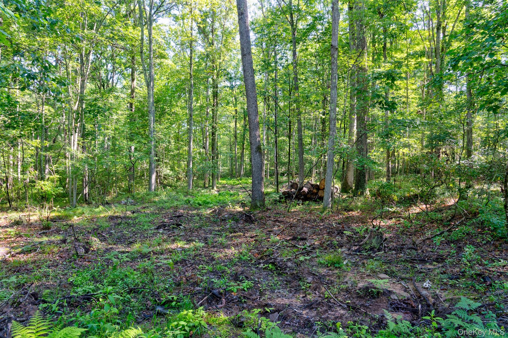 Lot 23 Perry Pond Road Narrowsburg, NY 12764 - Photo 15 of 17 Gallery Image 15