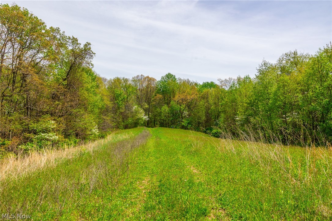 6268 Kings Ridge Road Newcomerstown, OH 43832 - Photo 14 of 46
