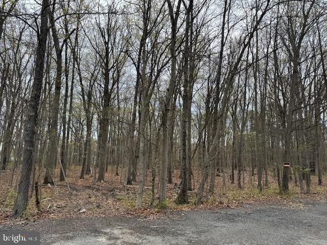 1145 Bengies Road Middle River, MD 21220 - Photo 2 of 5