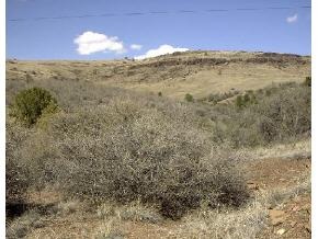 4718 East Amber Road Prescott, AZ 86301 - Photo 2 of 2 Additional Photo