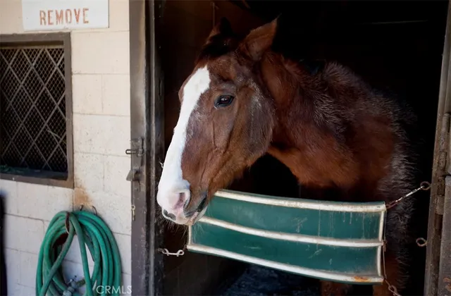 $735,000 | 2026 Via Mariposa East, Unit D, Laguna Woods, CA 92637