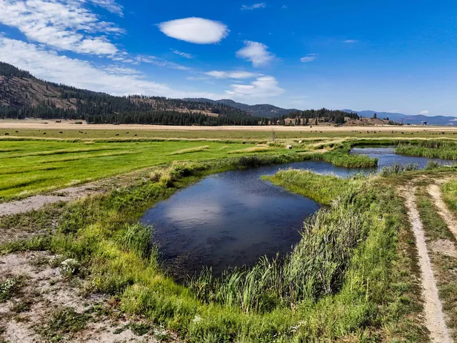 $750,000 | 100-xx Newton Road, Chewelah, WA 99109