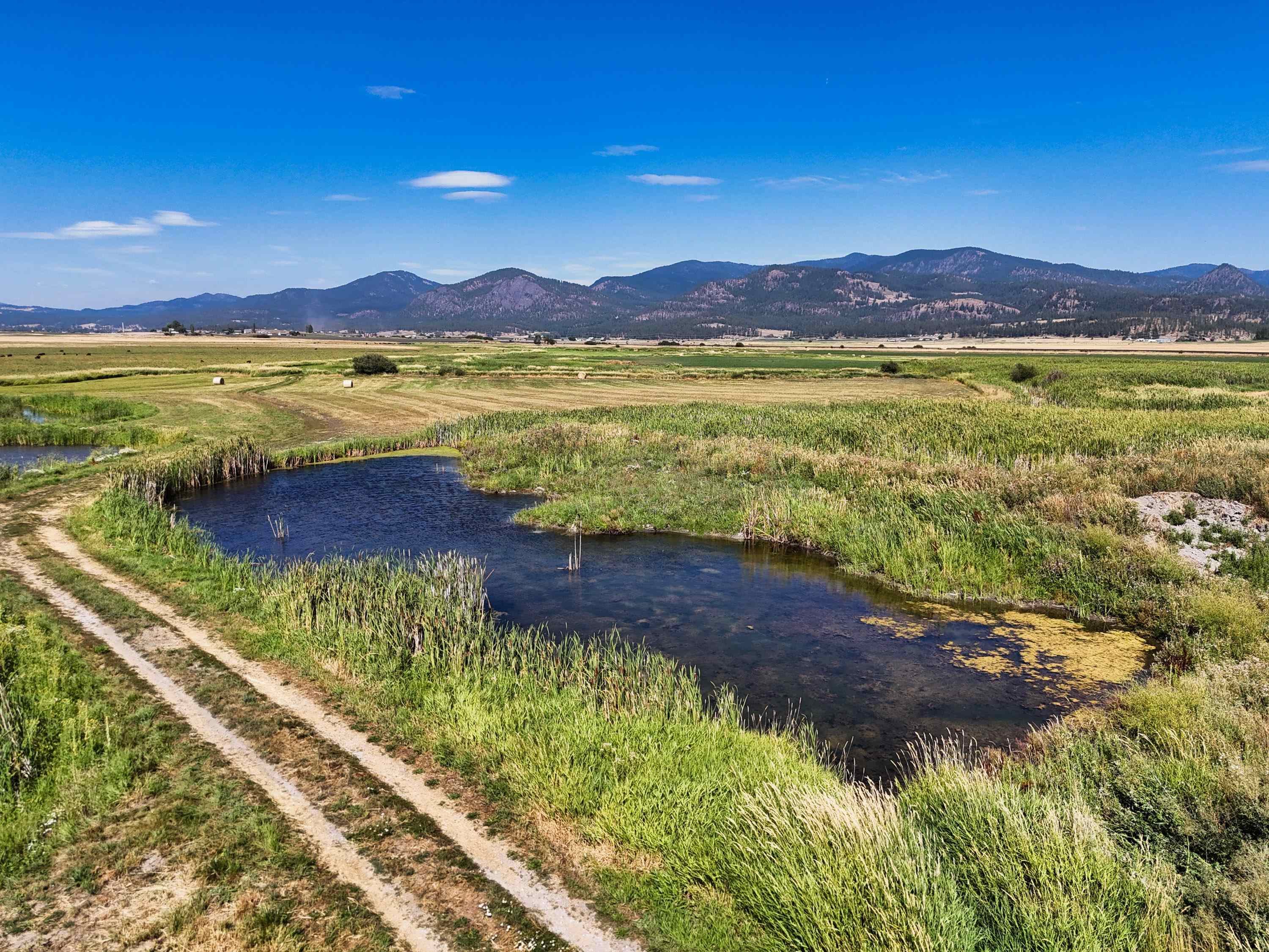 100-xx Newton Road Chewelah, WA 99109 - Photo 19 of 50