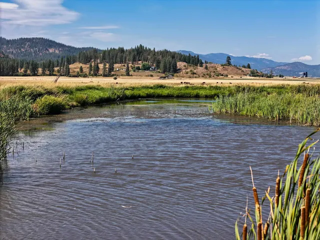 $750,000 | 100-xx Newton Road, Chewelah, WA 99109