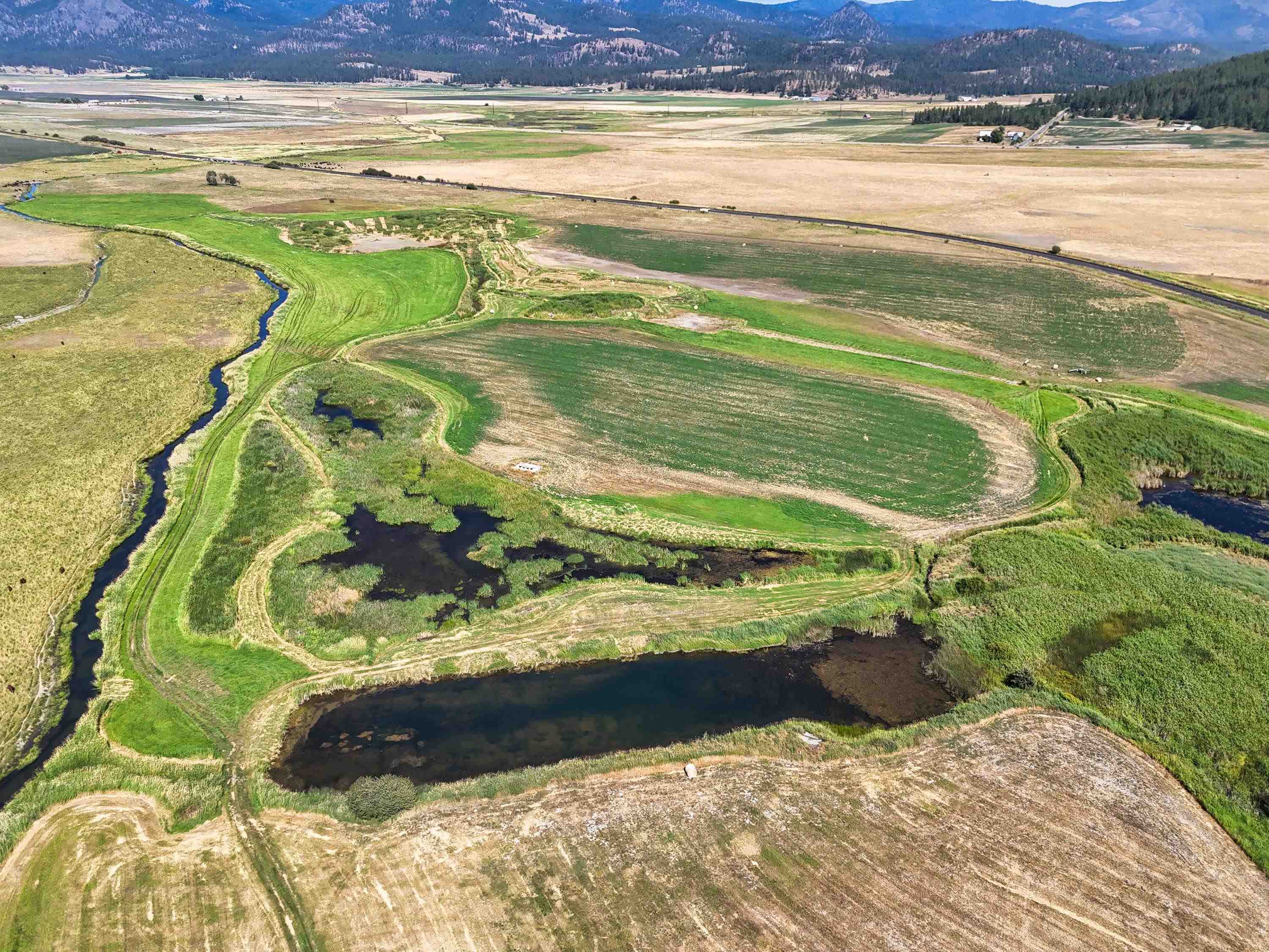 100-xx Newton Road Chewelah, WA 99109 - Photo 2 of 50