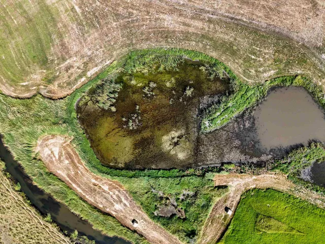 $750,000 | 100-xx Newton Road, Chewelah, WA 99109