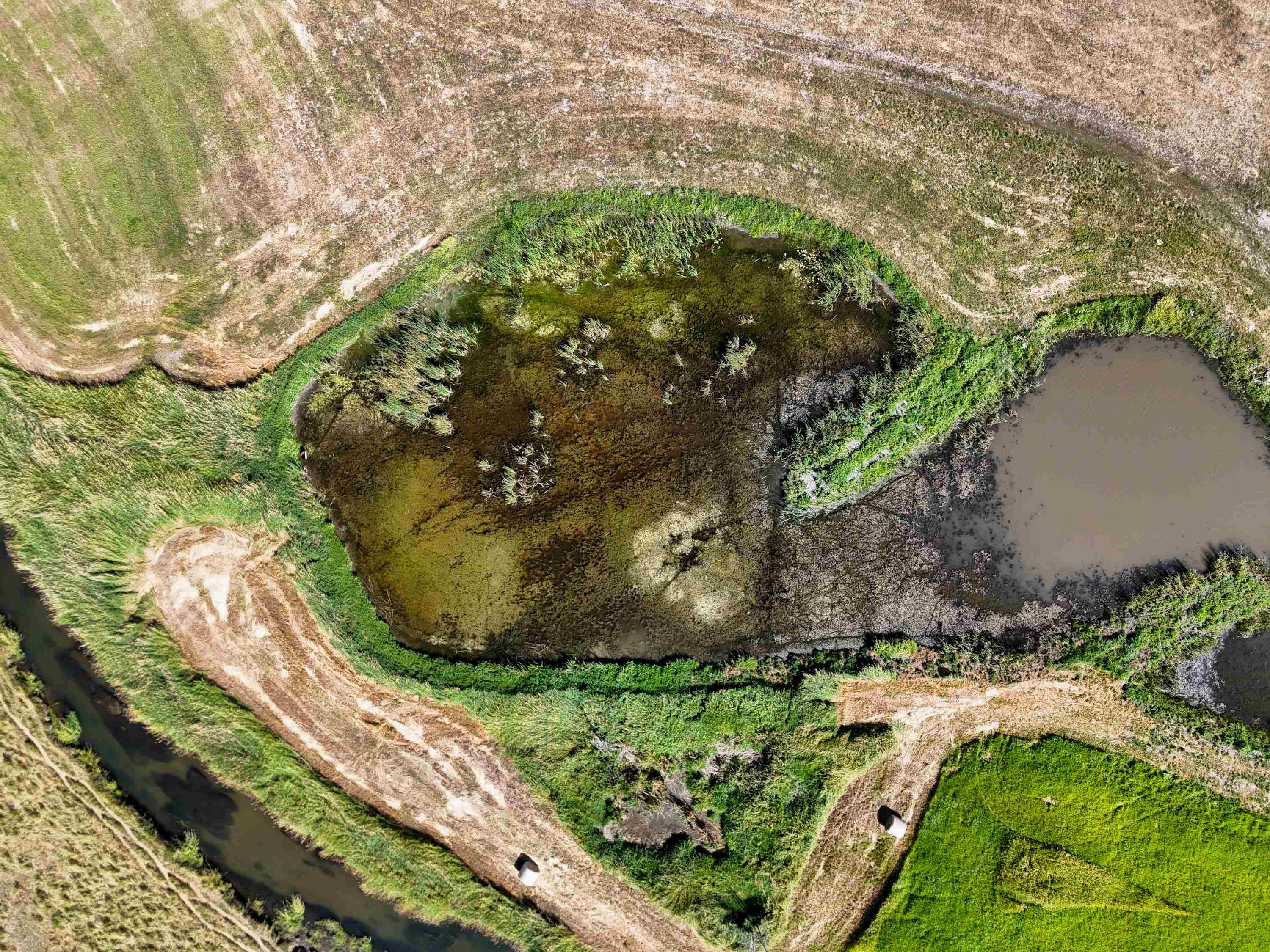 100-xx Newton Road Chewelah, WA 99109 - Photo 21 of 50