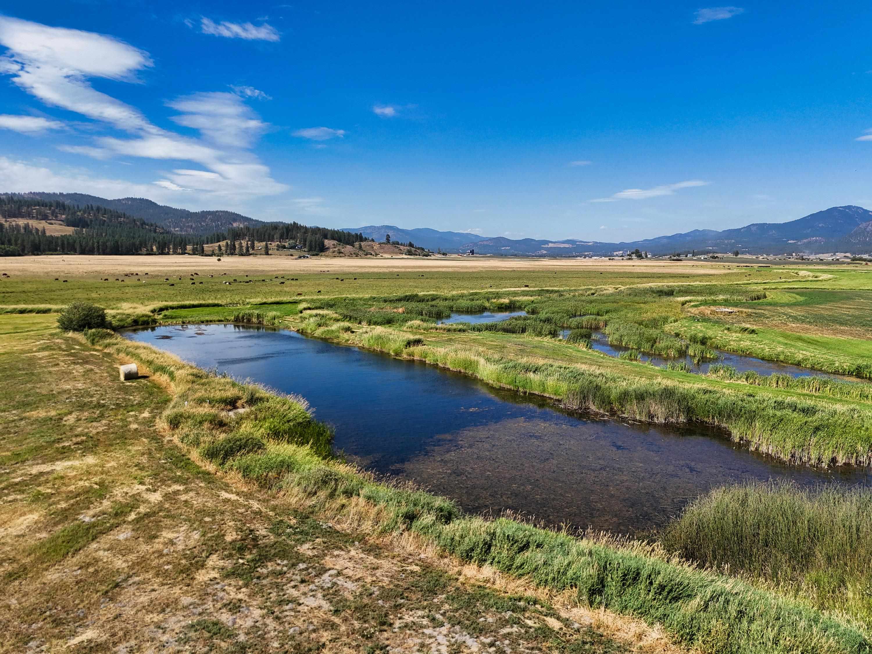 100-xx Newton Road Chewelah, WA 99109 - Photo 24 of 50