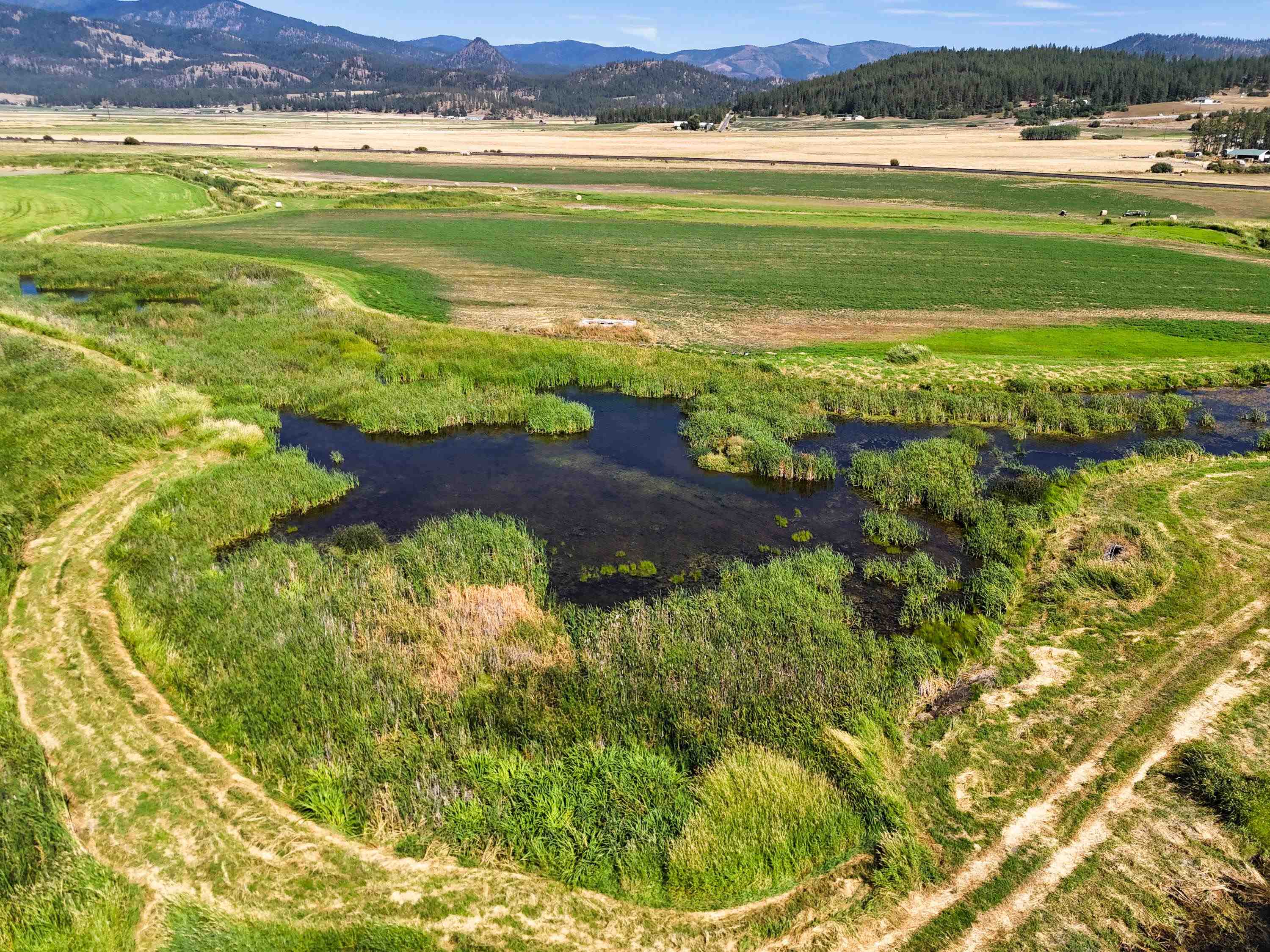 100-xx Newton Road Chewelah, WA 99109 - Photo 26 of 50