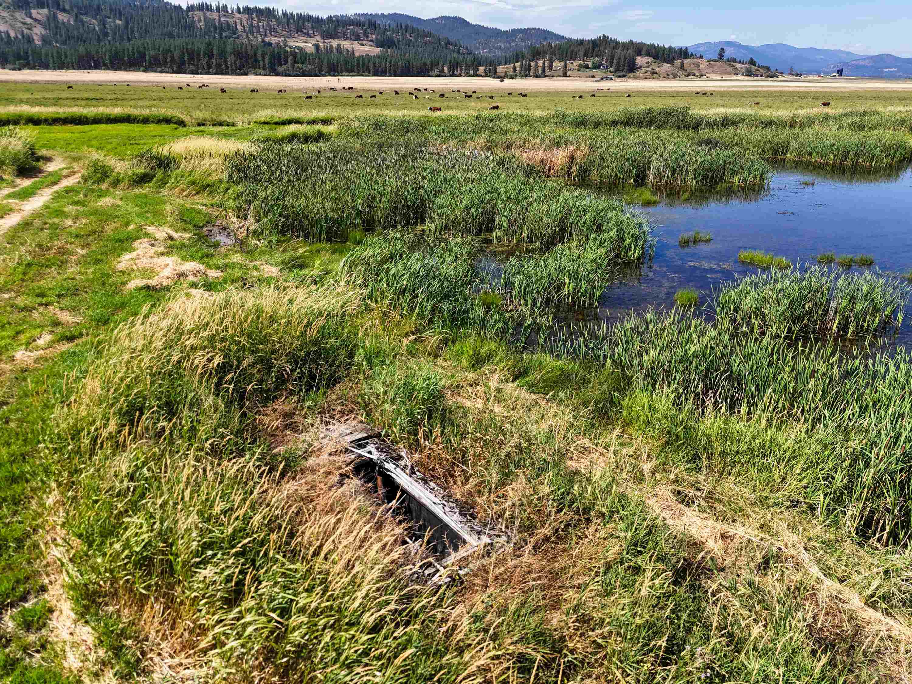 100-xx Newton Road Chewelah, WA 99109 - Photo 28 of 50