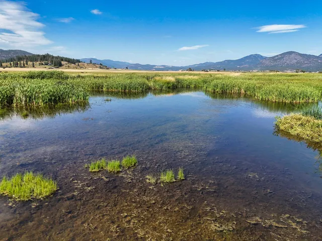 $750,000 | 100-xx Newton Road, Chewelah, WA 99109