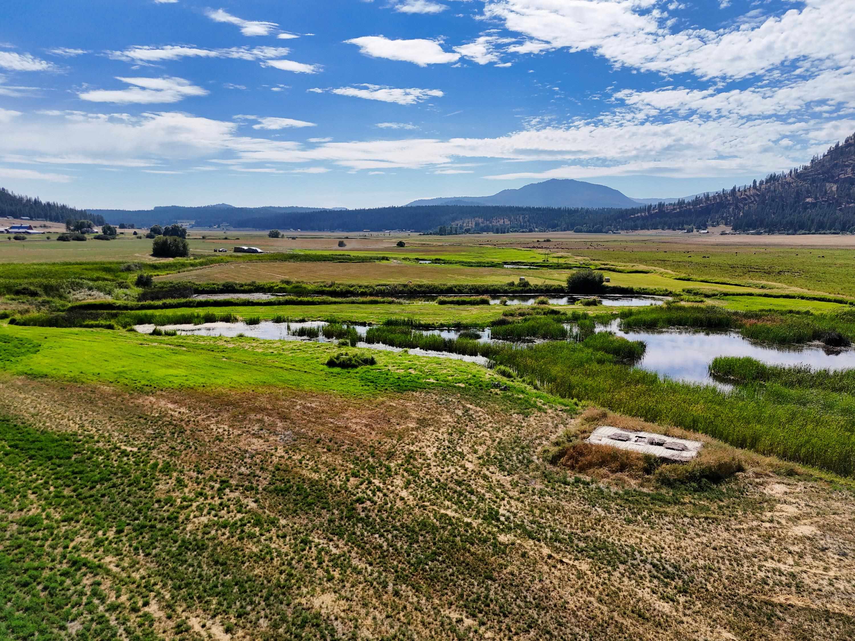 100-xx Newton Road Chewelah, WA 99109 - Photo 30 of 50